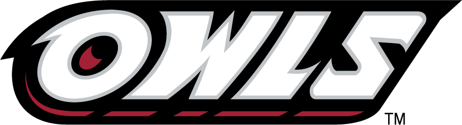 Temple Owls 1996-2014 Wordmark Logo iron on transfers for T-shirts